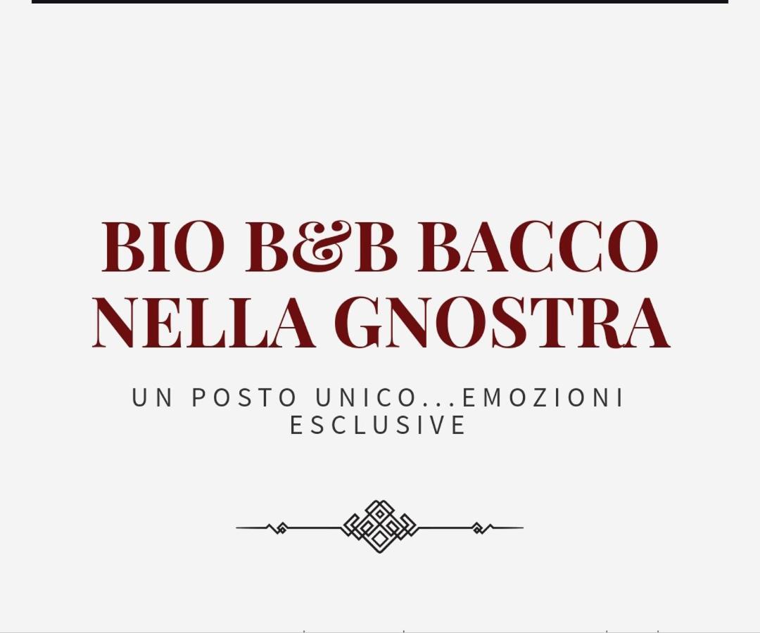 Bio B&B Bacco Nella Gnostra Алтамура Екстериор снимка